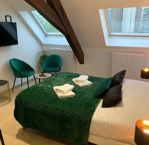 Esprit Suisse, Joli Studio Au Coeur De Mulhouse